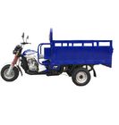 Motorized Cargo 250cc trzykołowe